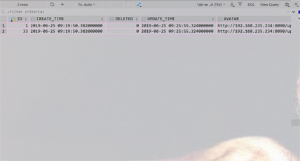 h2ideadatabase查询结果