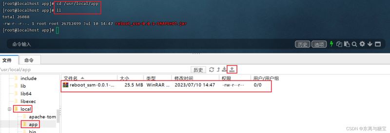 在这里插入图片描述