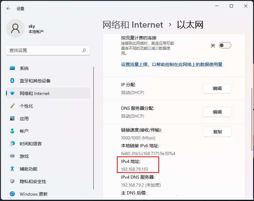 Win11IP地址在哪里看？Win11查看本机IP地址的方法
