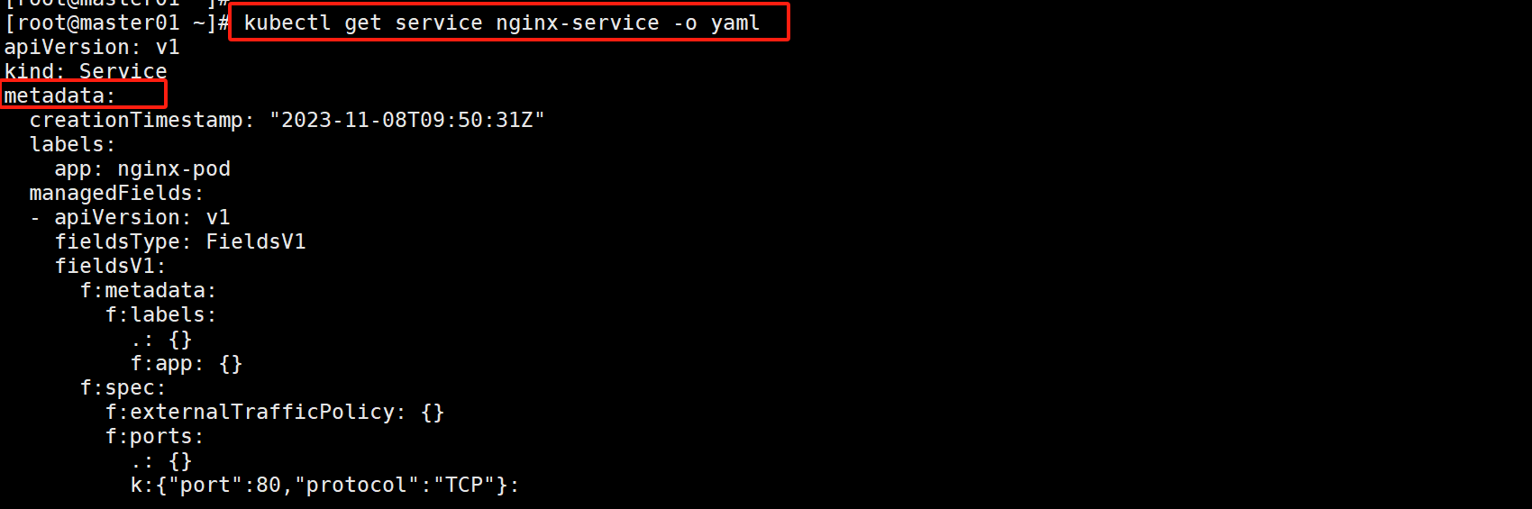 image-20231108183245215