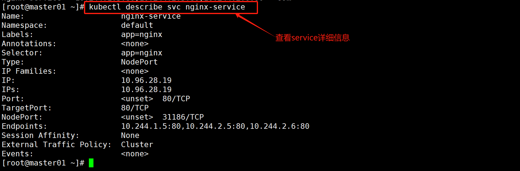 image-20231108121248617